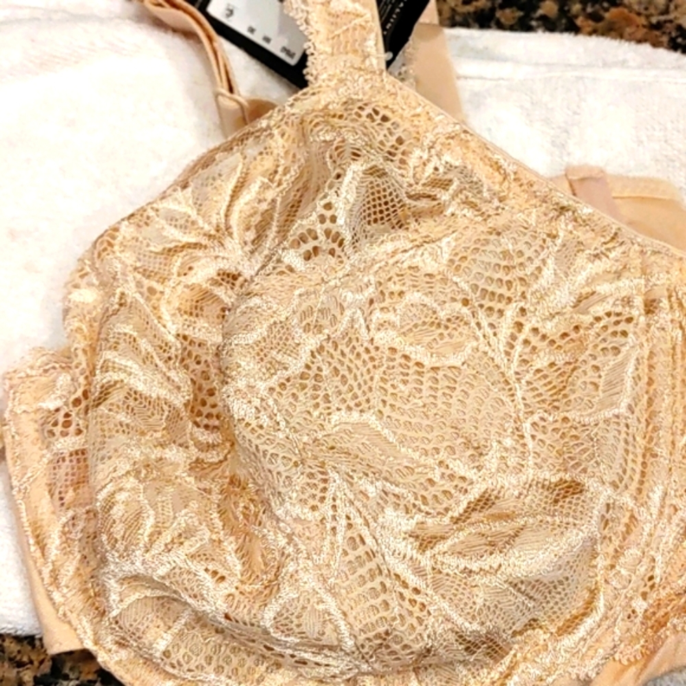Bail lace non padded bra, NEW